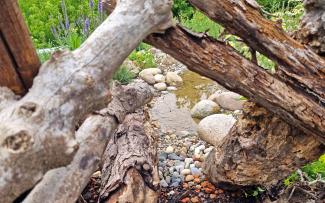 Dead wood in front of gravel